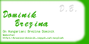 dominik brezina business card